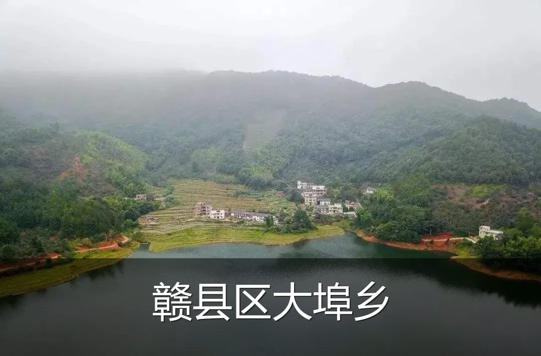 赣县区大埠乡