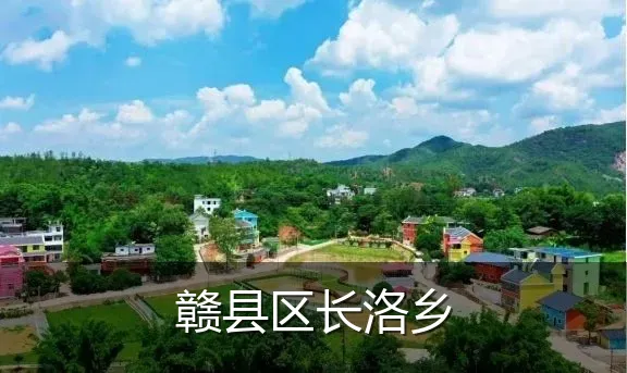赣县区长洛乡