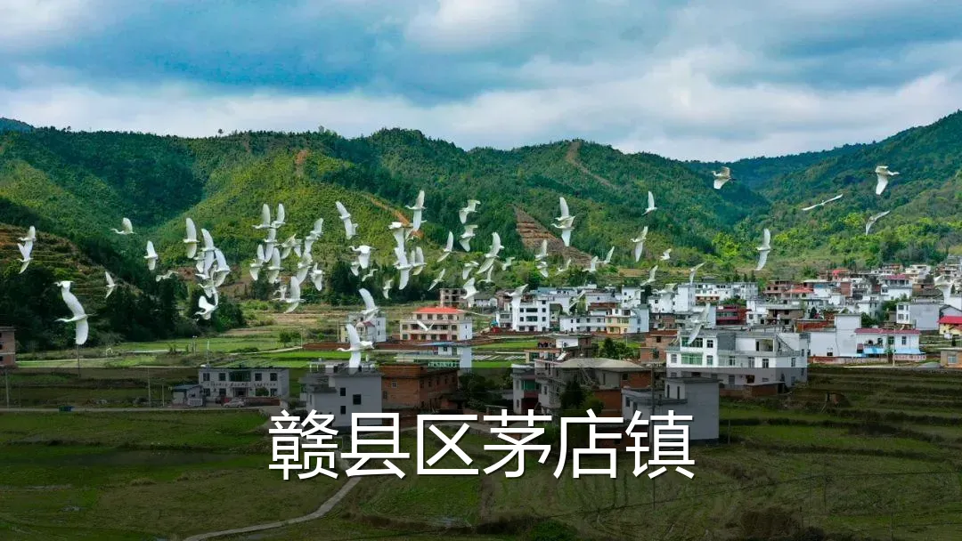 赣县区茅店镇